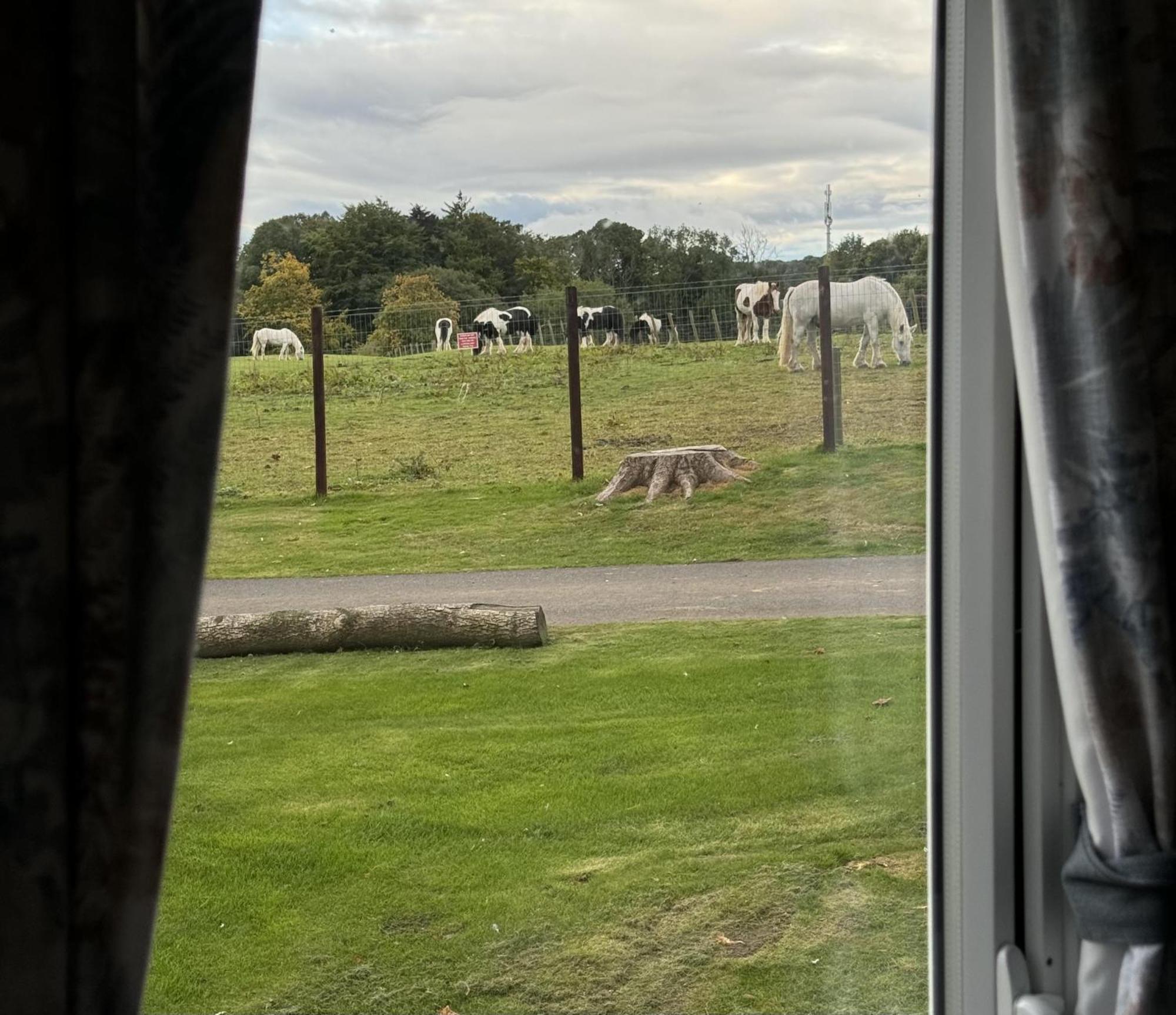 Pony Gate Caravan On Haggerstone Castle West Lawn Berwick Upon Tweed المظهر الخارجي الصورة